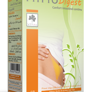 LV Phytodigest Gélule