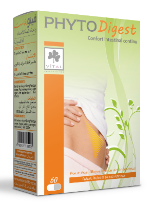 LV Phytodigest Gélule