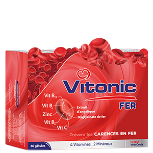 Vitonic Fer